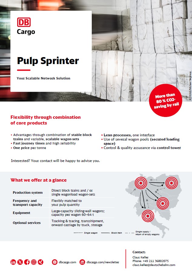 Netzwerk_Flyer-Pulp-Sprinter