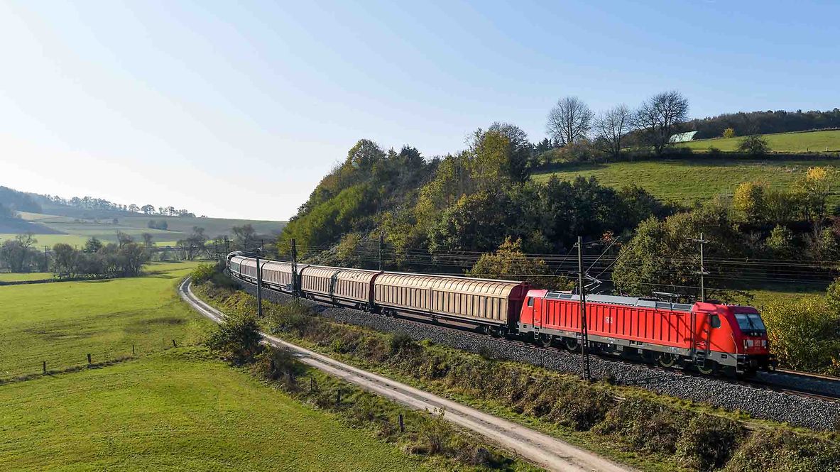 DB241356