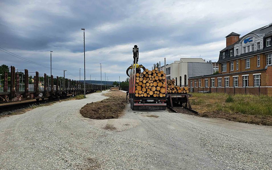 Ein mit Holz beladener Lkw wartet an der Holzverladestelle auf den Umschlag.