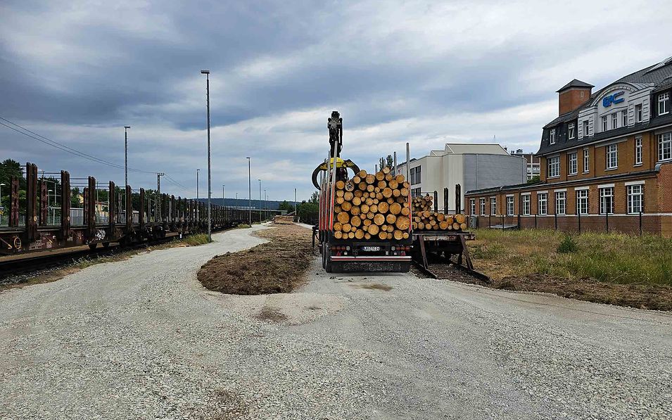 A lorry loaded with timber waits for transhipment at the timber loading point.