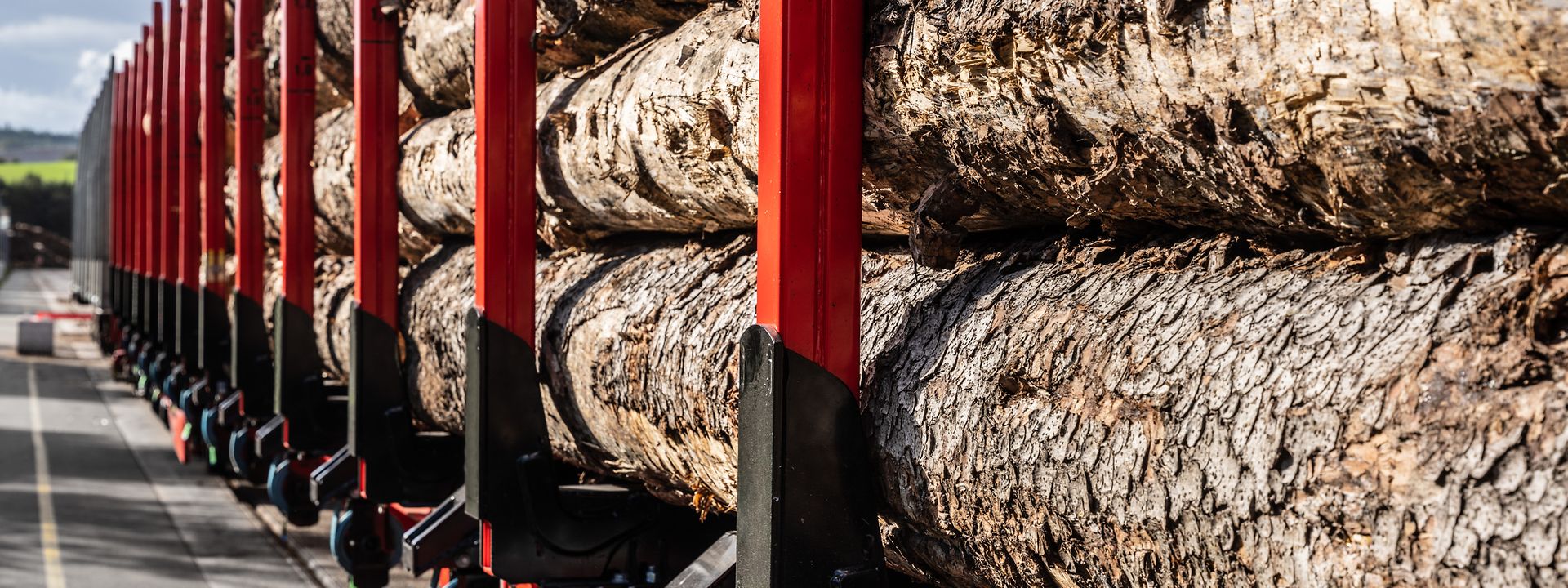 Rohschnitt Baum bei Verladung