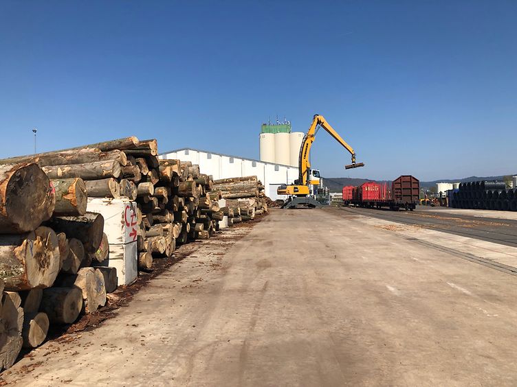 Rohschnitt Baum bei Verladung