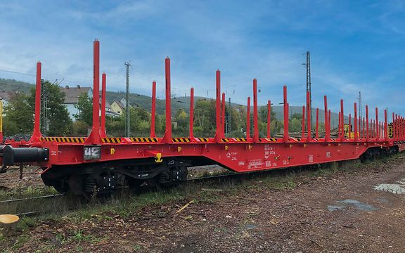 Rnps-Wagen für Rundholz und Schnittholz