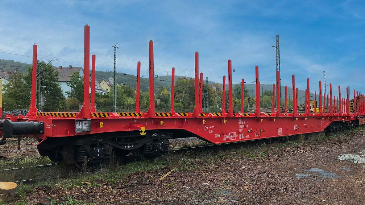 Rnps-Wagen für Rundholz und Schnittholz