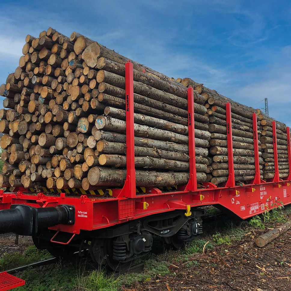 Rns-z wagons are being converted into Rnps wagons for transporting timber 