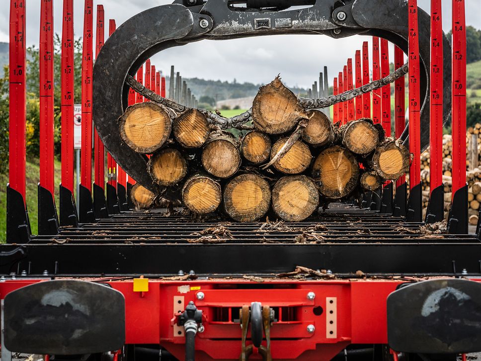 Rohschnitt Baum bei Verladung