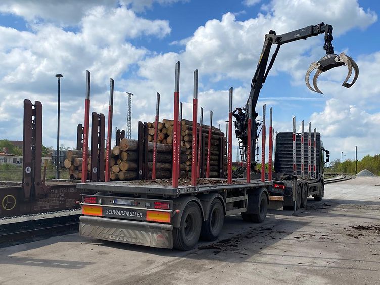Loading rough-cut timber onto a freight wagon