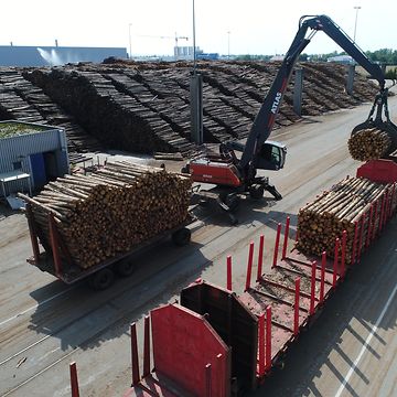 Timber is loaded onto a goods train