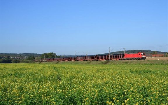 A train loaded with black pipes travels through a green landscape in France.