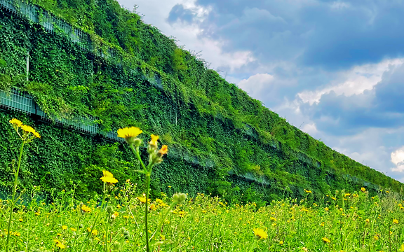 A green noise barrier at the terminal in Cricklewood.