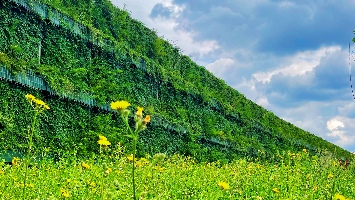 A green noise barrier at the terminal in Cricklewood.