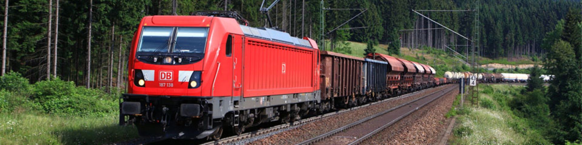 Langer DB Güterzug im Wald