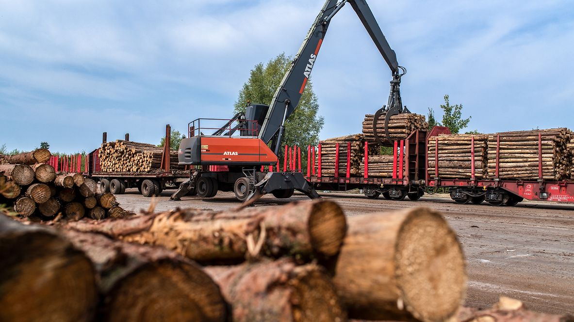 teaser_Auf dem besten Holzweg