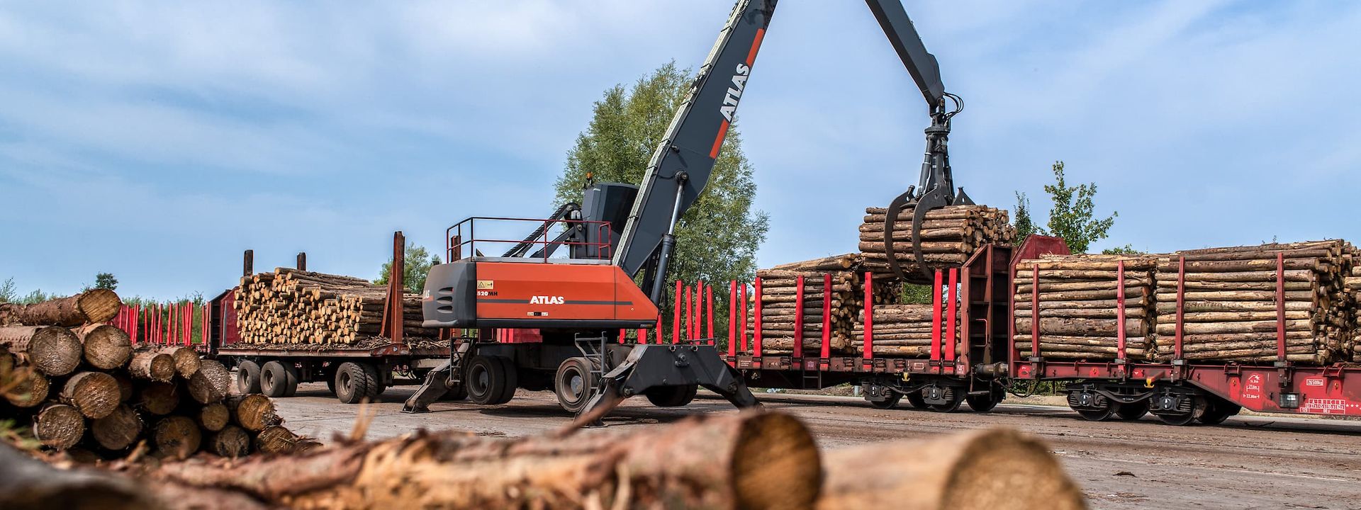 Rough cut tree during loading