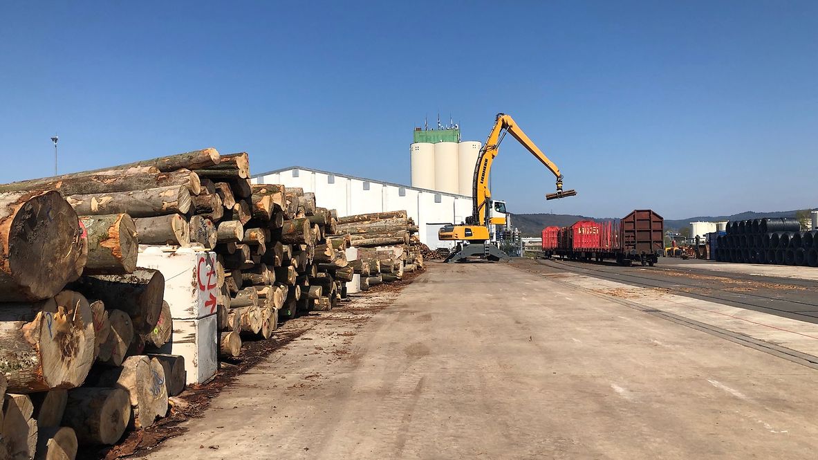 Timberport Trier DB Cargo